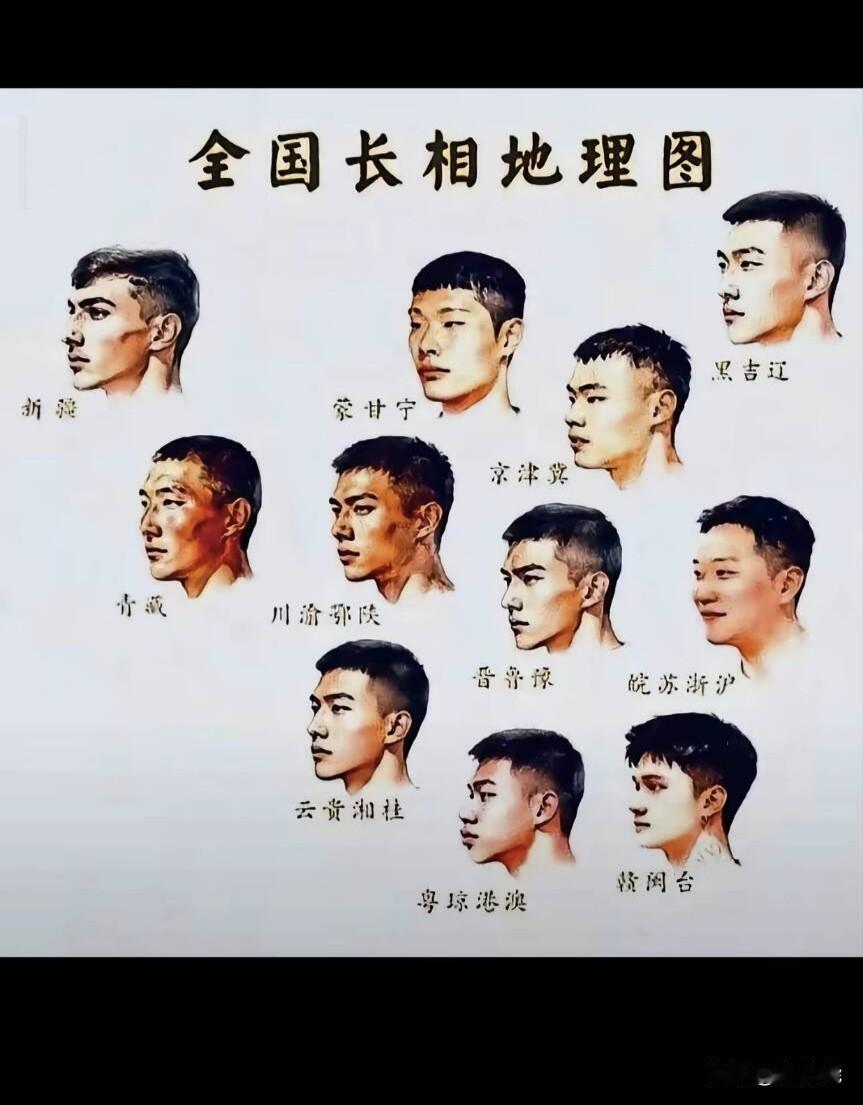 笑喷了！全国长相地理图？

看到这张图新疆小哥脸部轮廓最立体、黑吉辽的气场硬朗、