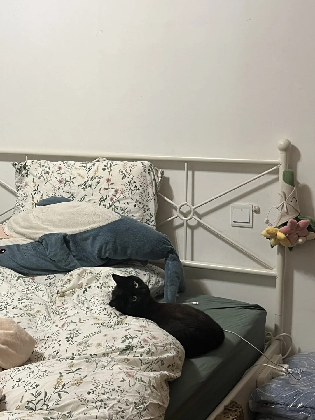 像猫和老鼠里吞了保龄球瓶的汤姆