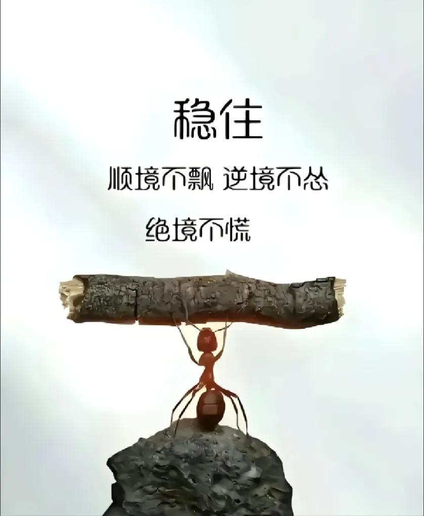 稳住

要和自己站在一起去解决问题，

而不是和问题站在一起来打倒自己