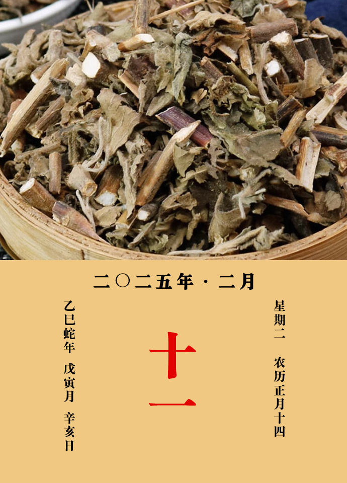 每天一味中草药  藿香，味辛，性微温，归肺、脾、胃经。主治：祛暑解表，化湿和胃；