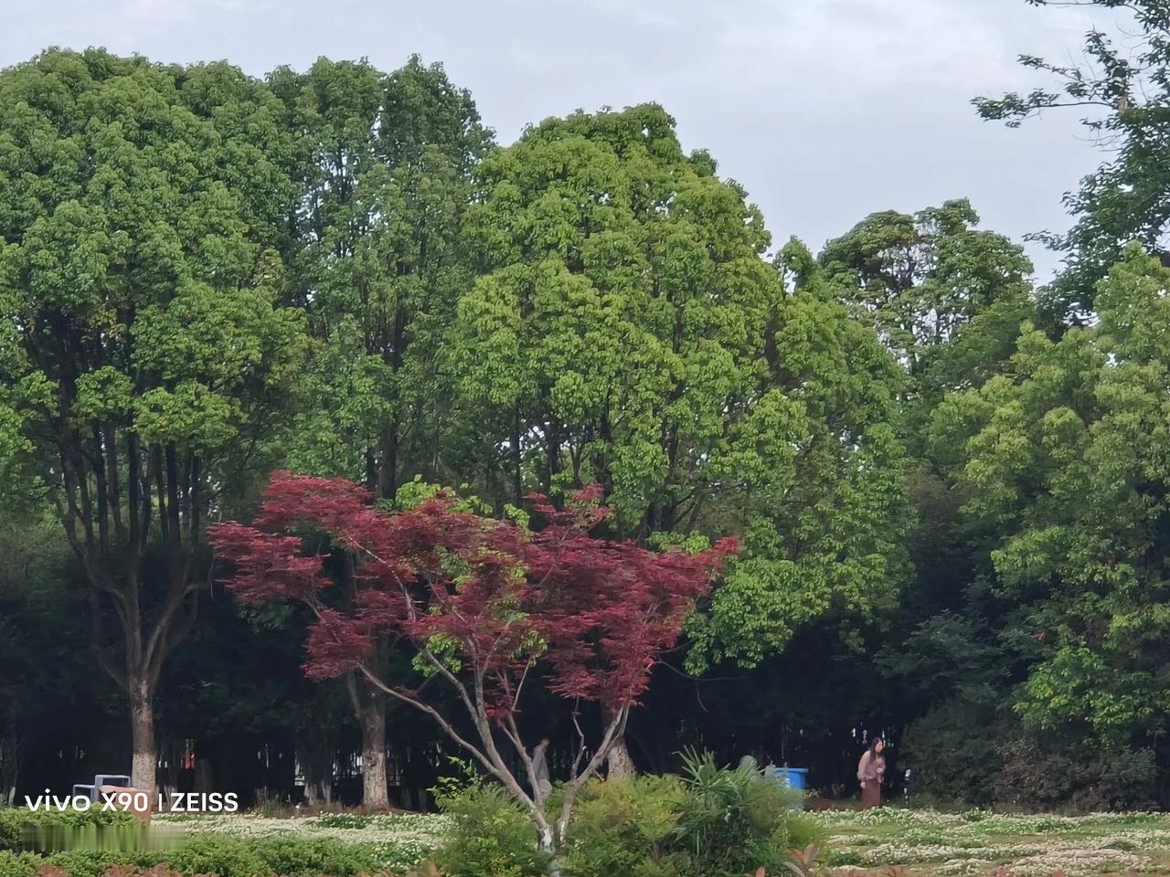 不可思议!我73岁的老妈的微信居然被官方给封了，而且是永久封号!我问老妈，你用微