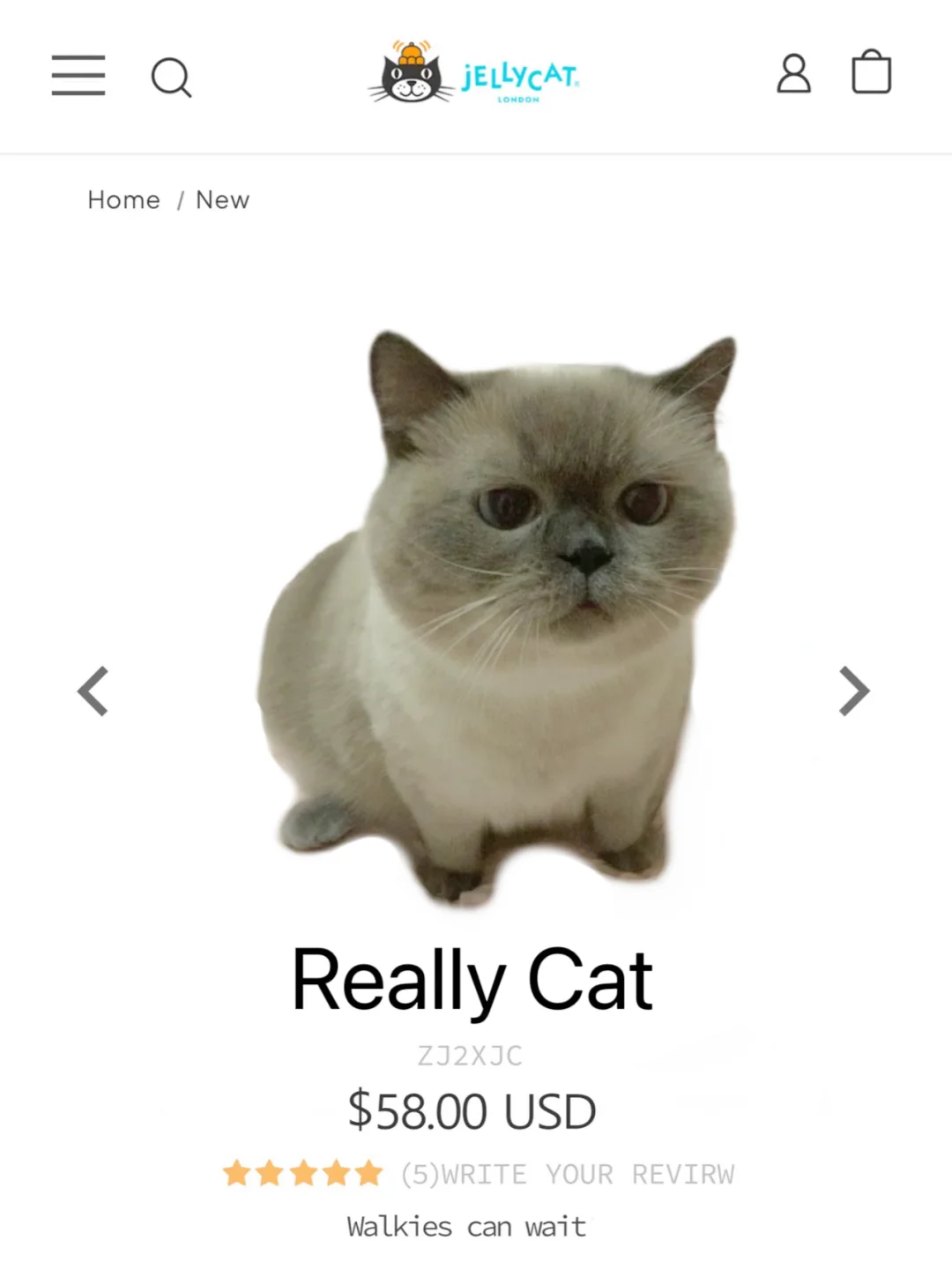 Jellycat新品到货了！真可爱啊！