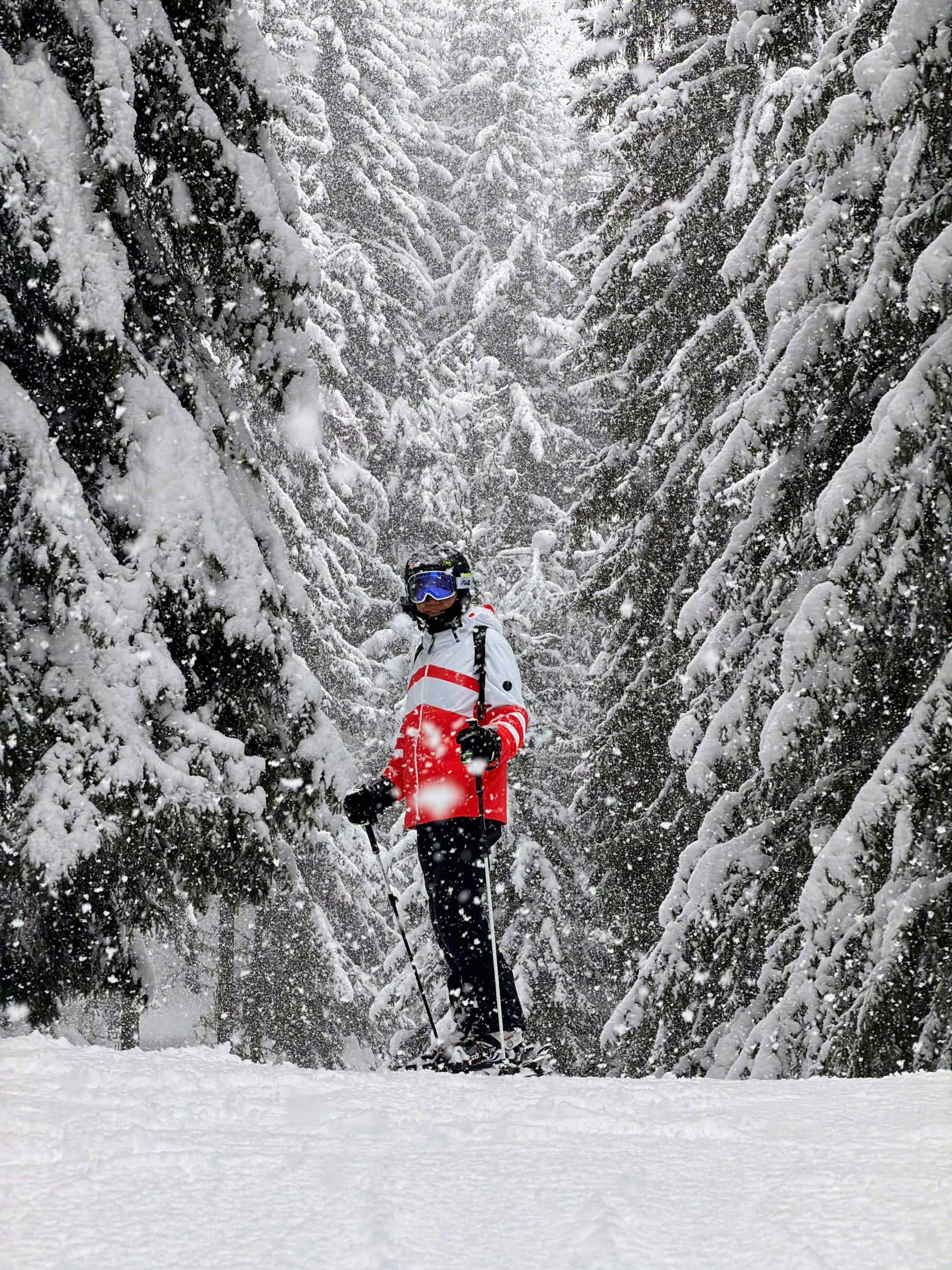 雷军假期滑了6天雪  小米的新车和新手机应该也在路上了吧