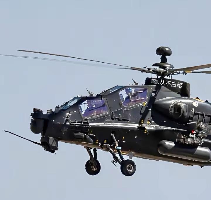 顶配版武直10。直武装直升机 

头顶一颗球，全球我最牛。

近日陆航的武装直升