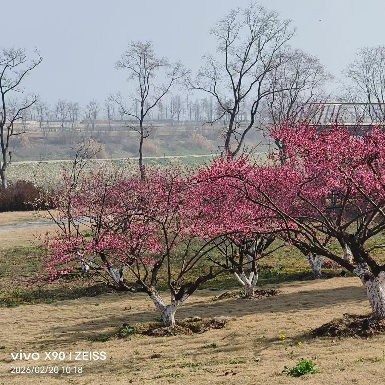 1，黄金上涨
2，石油大涨
3，军工股大涨
4，航空股大跌
5，中东大乱
6，美