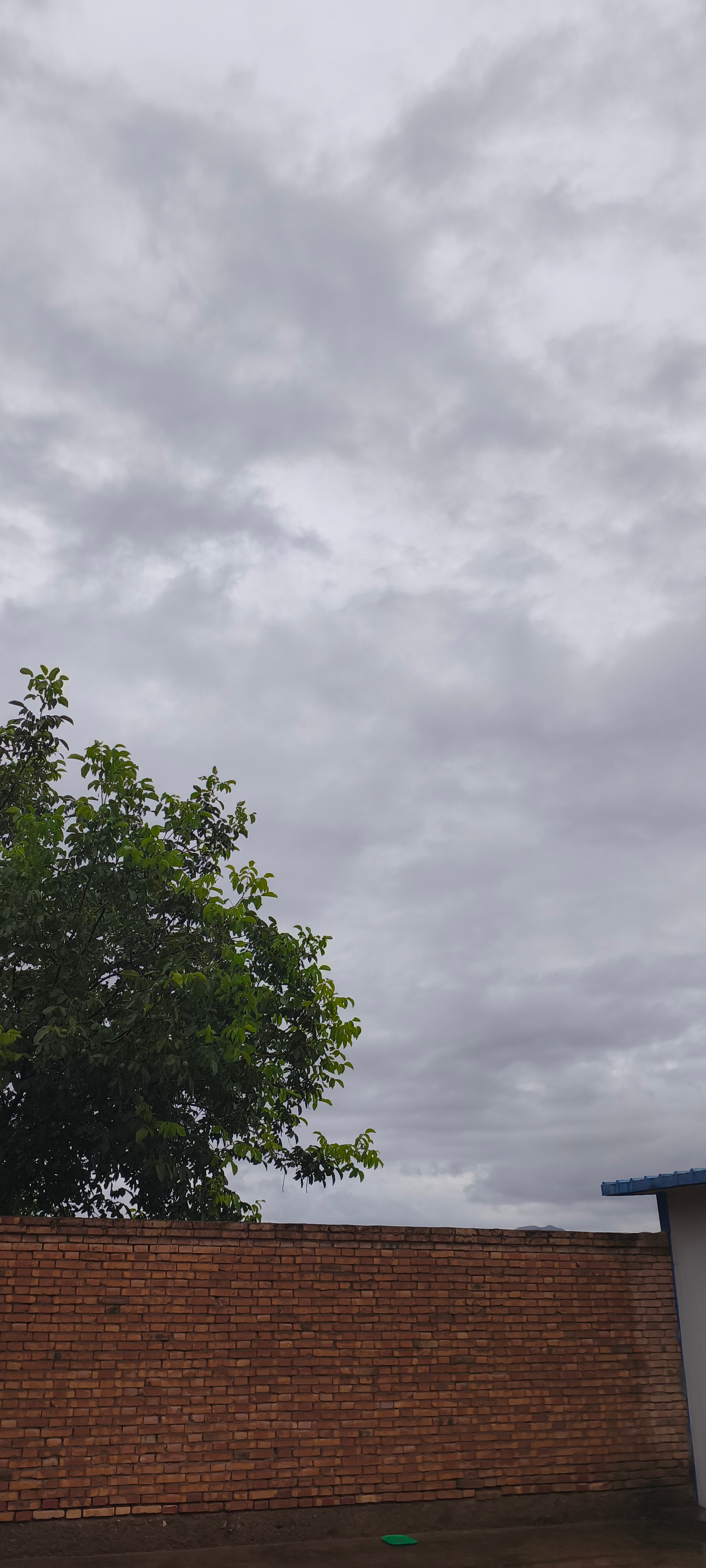 白银日常 白银同城今日白银细雨绵绵，气温15‑18℃，北风轻柔，空气格外清新 。