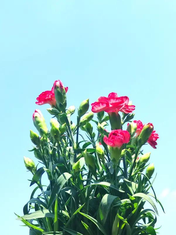 不得不承认，善于运用文字游戏化解棘手问题的朋友，无疑是社交场上的高手！正如《每天