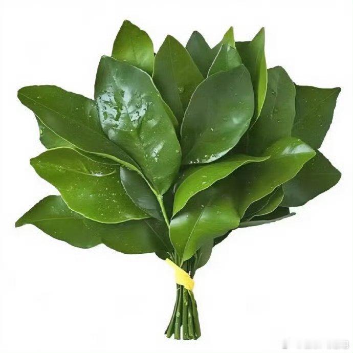 晚安大家[淡淡的] ​​​