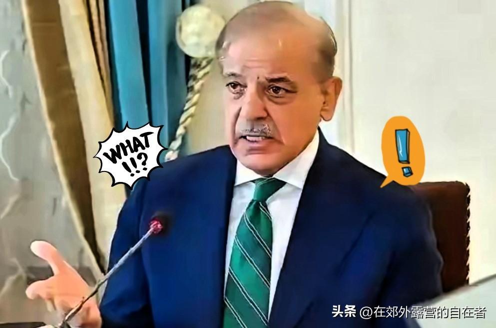 中巴经济走廊620亿旗舰项目陷停滞？巴部长坦承：6年内耗错失黄金机遇。
 
作为