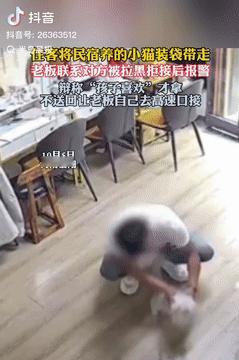 “真是活不起了！”10月7日河南洛阳，一男子入住民宿时，竟将老板养的猫司机抱回房