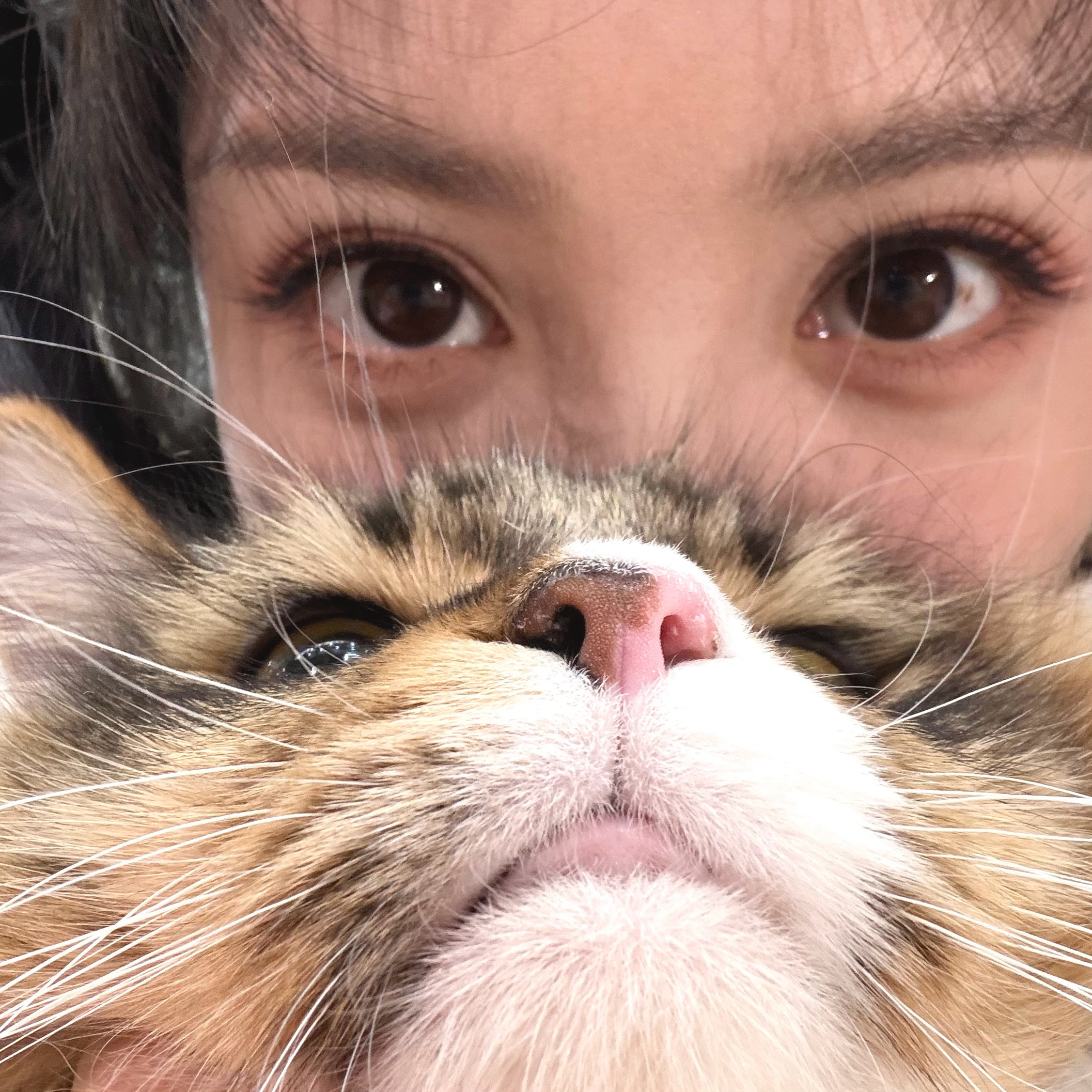 田曦薇发布会饭撒不停不止这场发布会，田曦薇此前在多场活动中都展现出超强的饭撒能力