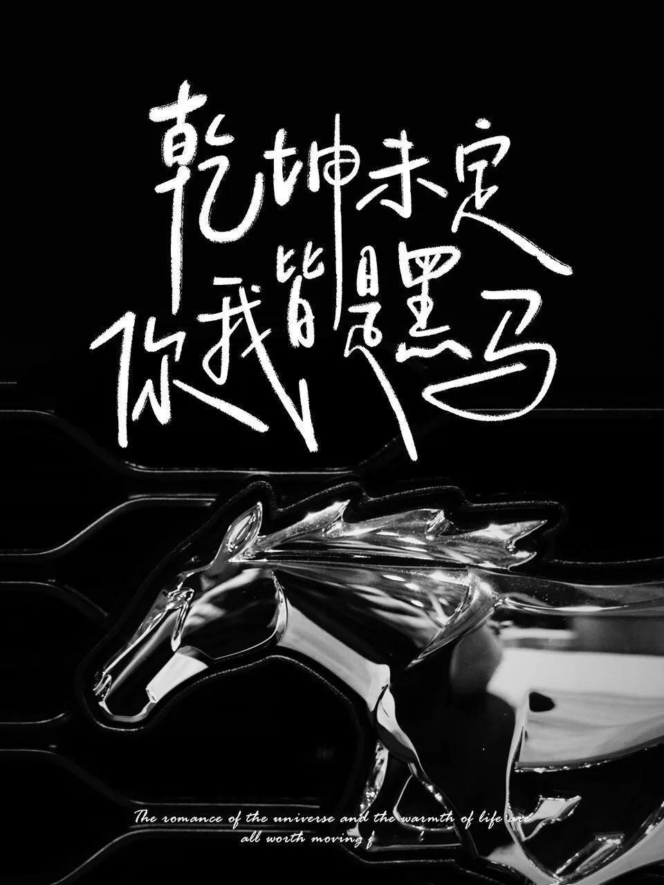 分享每日正能量“乾坤未定，你我皆是黑马！”每日励志金句