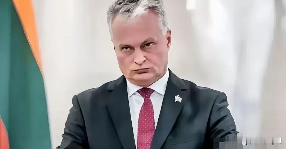 欧洲多国扎堆访华 立陶宛摆谱求合作
 
立陶宛眼馋对华合作热局。
 
2026年