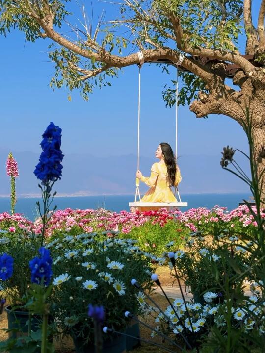 live🌸三月的大理，春天在此刻具象成真