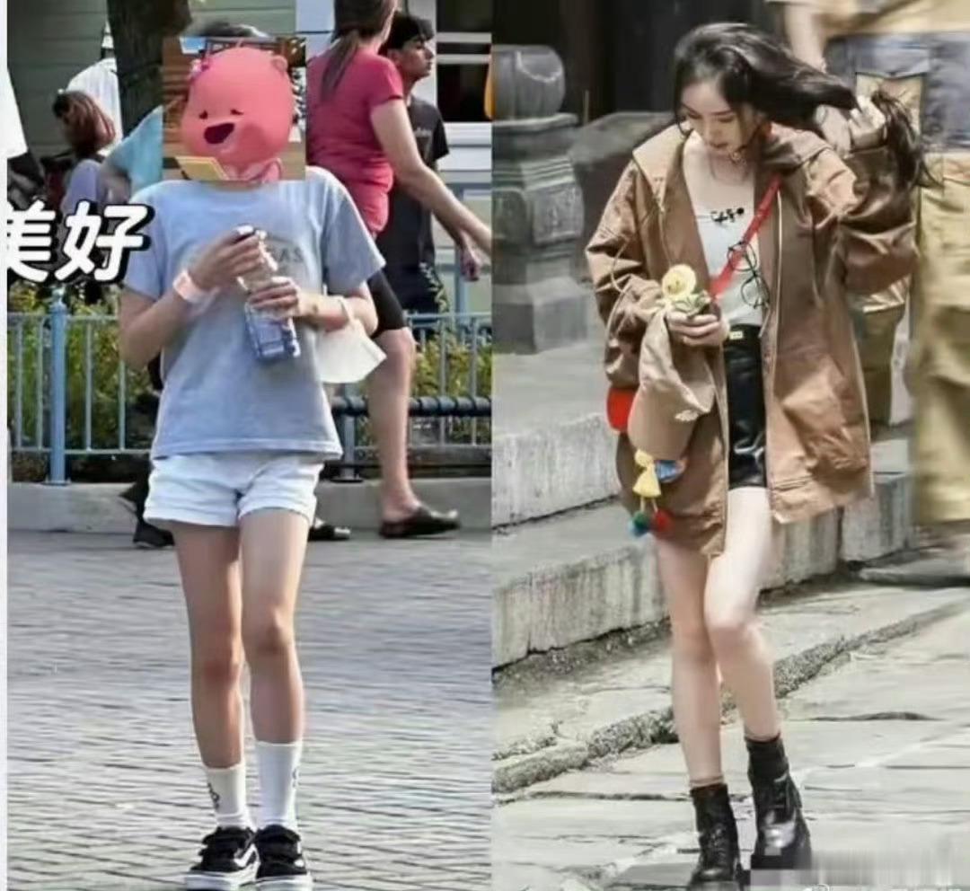 小糯米已经和TF五代一样大了时间真是一个奇妙的东西