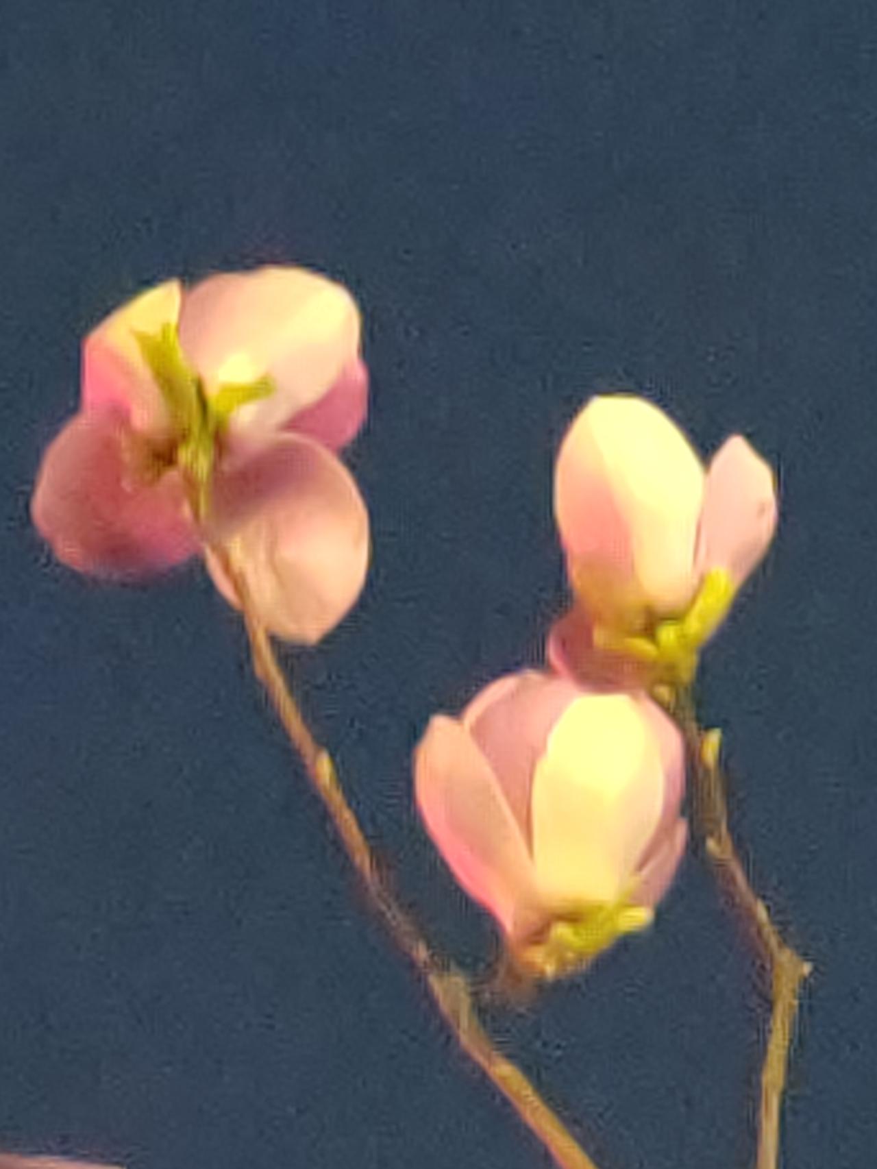 这副对联太真实了，简直就是中年人的写照。现在的中年人，上有老下有小，压力全往心里