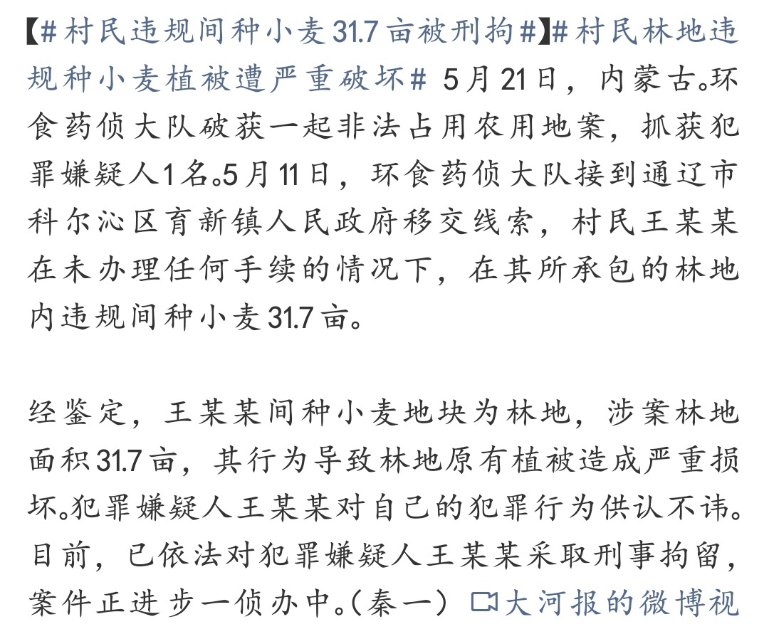 村民违规间种小麦31.7亩被刑拘 林地不是自家菜园，真不能想种啥就种啥。看着是种