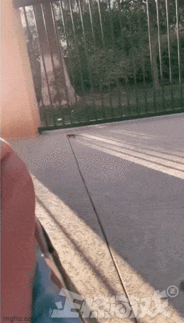 喝高了眼花，四脚蛇都在锻炼身体啦😰