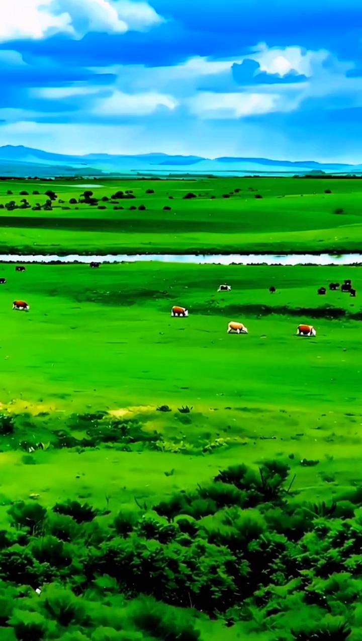 《天边的牧歌》。
天边的牧歌声声婉转，马背上的摇篮依稀可见。天边的牧歌阵阵缠绵，