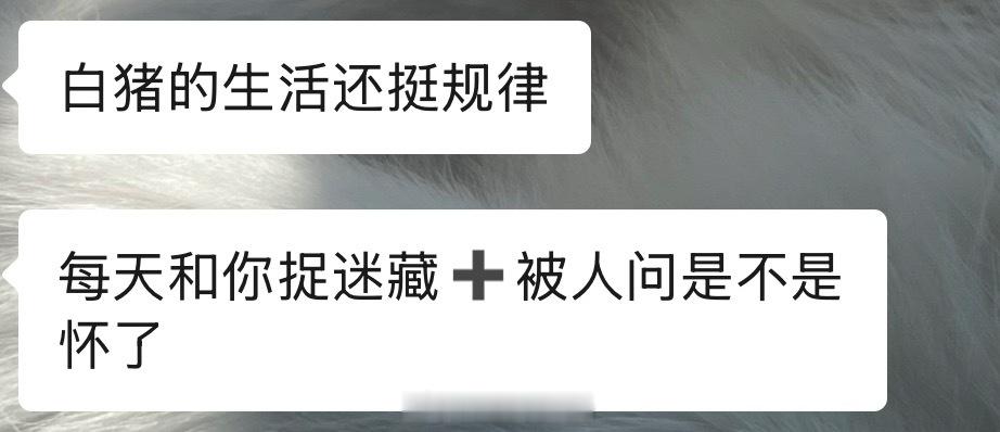 我要在白猪脖子上挂一个公猫没有怀孕🤰🏻 