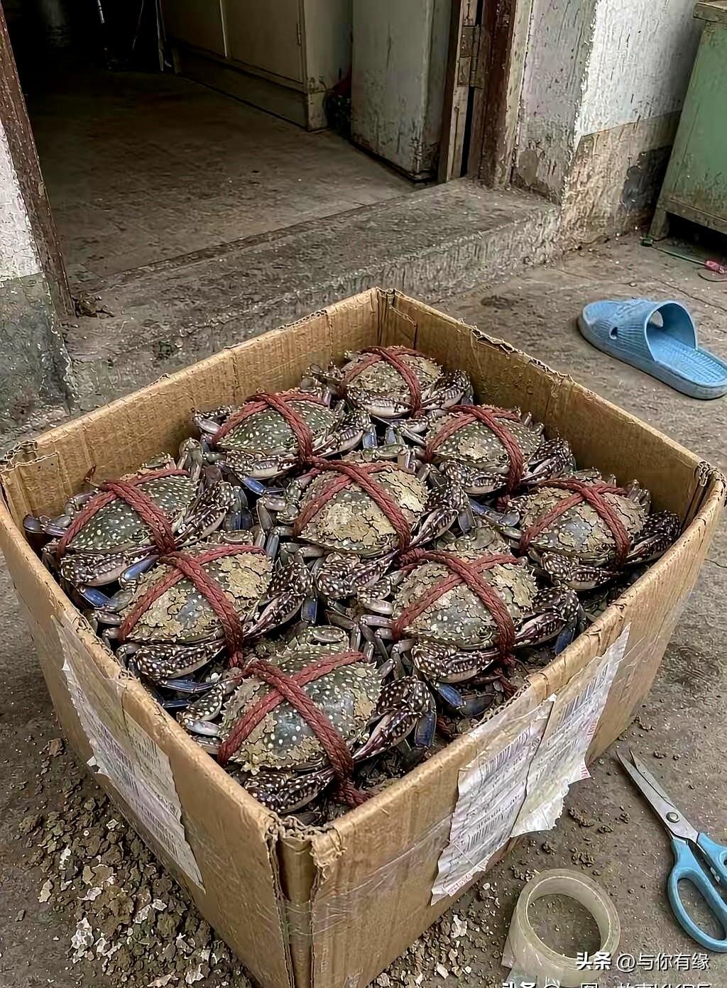 大姑姐寄来一包东西，我拿在手里研究半天，愣是没看明白这到底好不好吃、值不值钱。