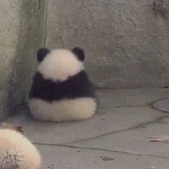 小墩墩 ​​​