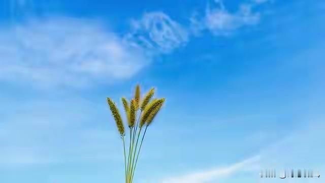 异性之间，不是夫妻关系，只要走得太近就会招惹麻烦。
 
前阵子前公司出了档事，整