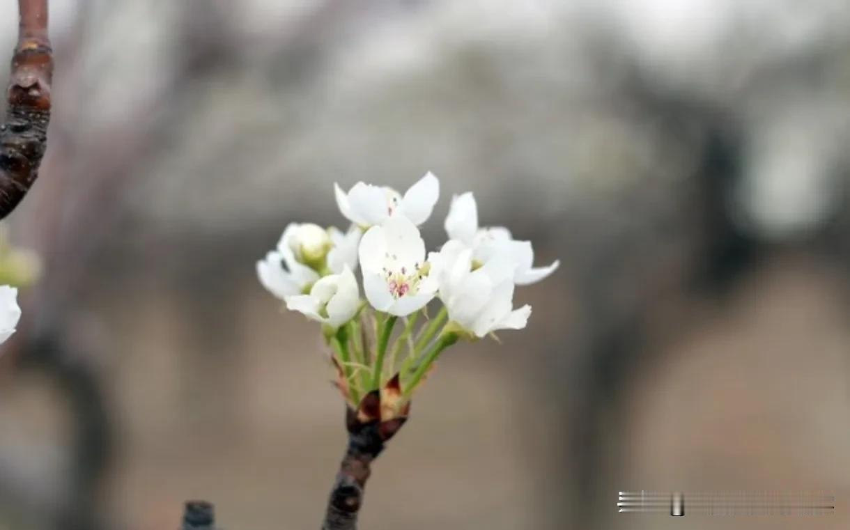 老公出轨，我会选择和他离婚吗？
婚姻是一段承诺与责任的旅程，然而，生活从来不是一