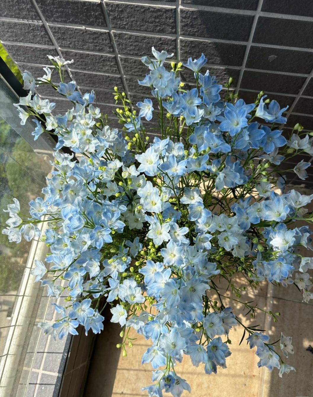 女儿跟我吵架的后果，我一个礼拜没接送外孙上下学，没有去他家里帮忙做饭，打扫家务，