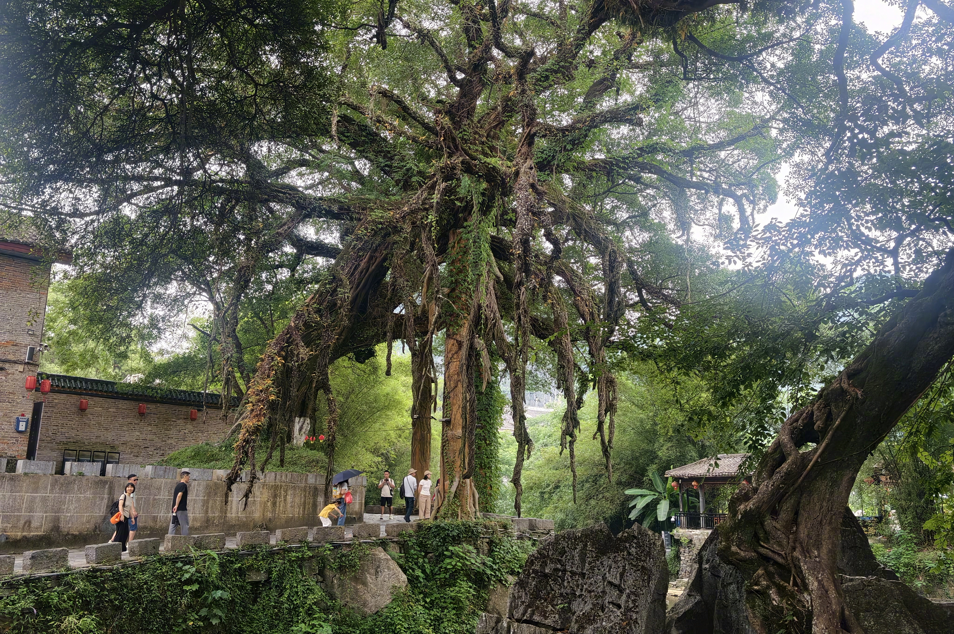 ⼋⽅来贺四季有约 🌿白日漫步黄姚，赴一场千年岭南山水之约。古镇静卧喀斯特峰林腹