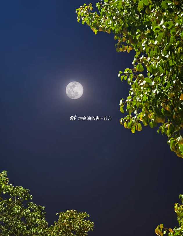 收工啦，今天两单收益稳稳拿捏、落袋，做单要狠，做人要稳。毕竟行情不等人，大家都早