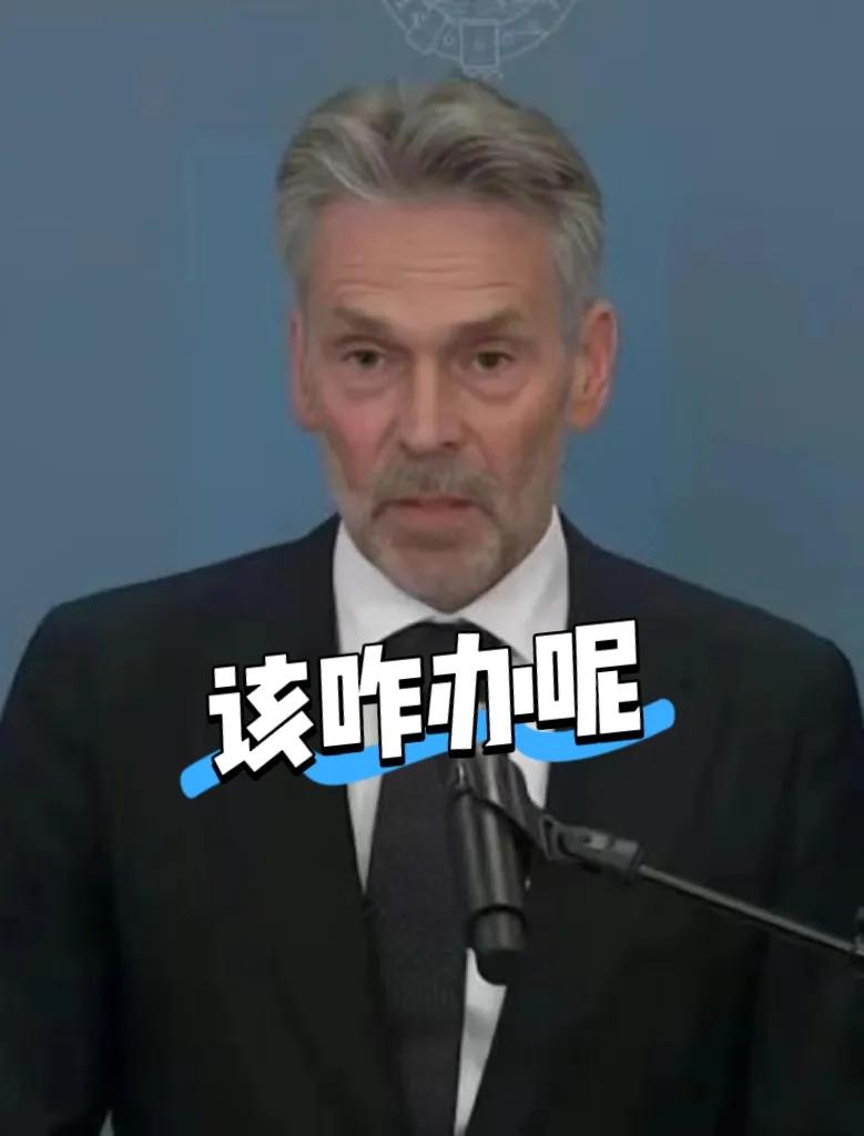 荷兰玩弄安世半导体玩脱靶了！欧洲车企成了第一批受害者，16家欧洲车企发出警告，库