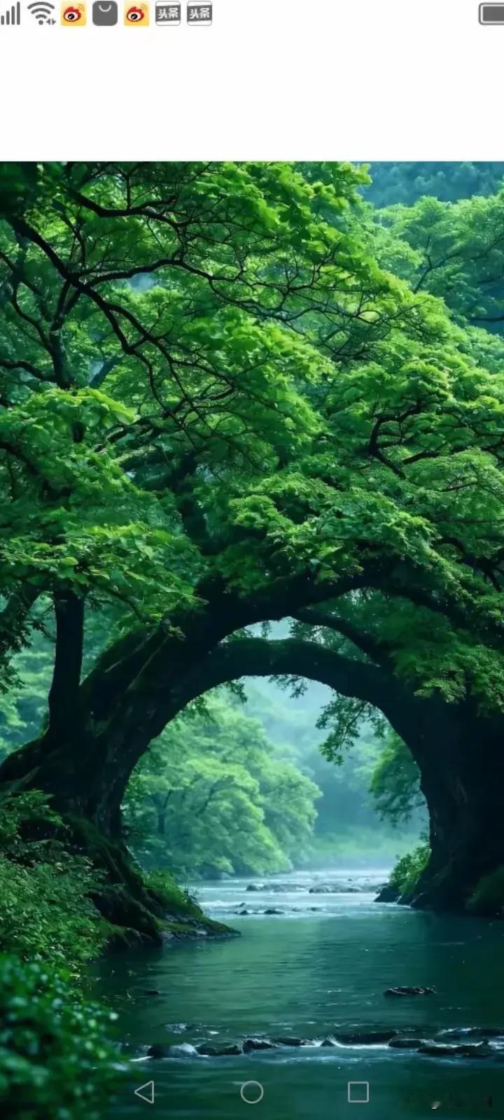 七律《悟人生》
 
效仿贤良修己身，
初心笃定做真人。
浮生万象皆行迹，
尘世千