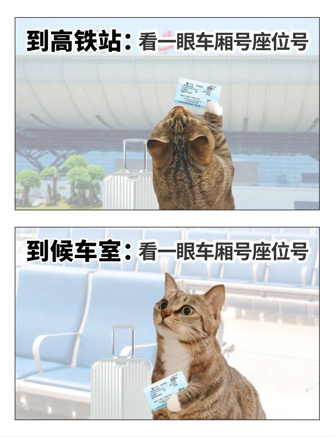 当代年轻人的记忆力