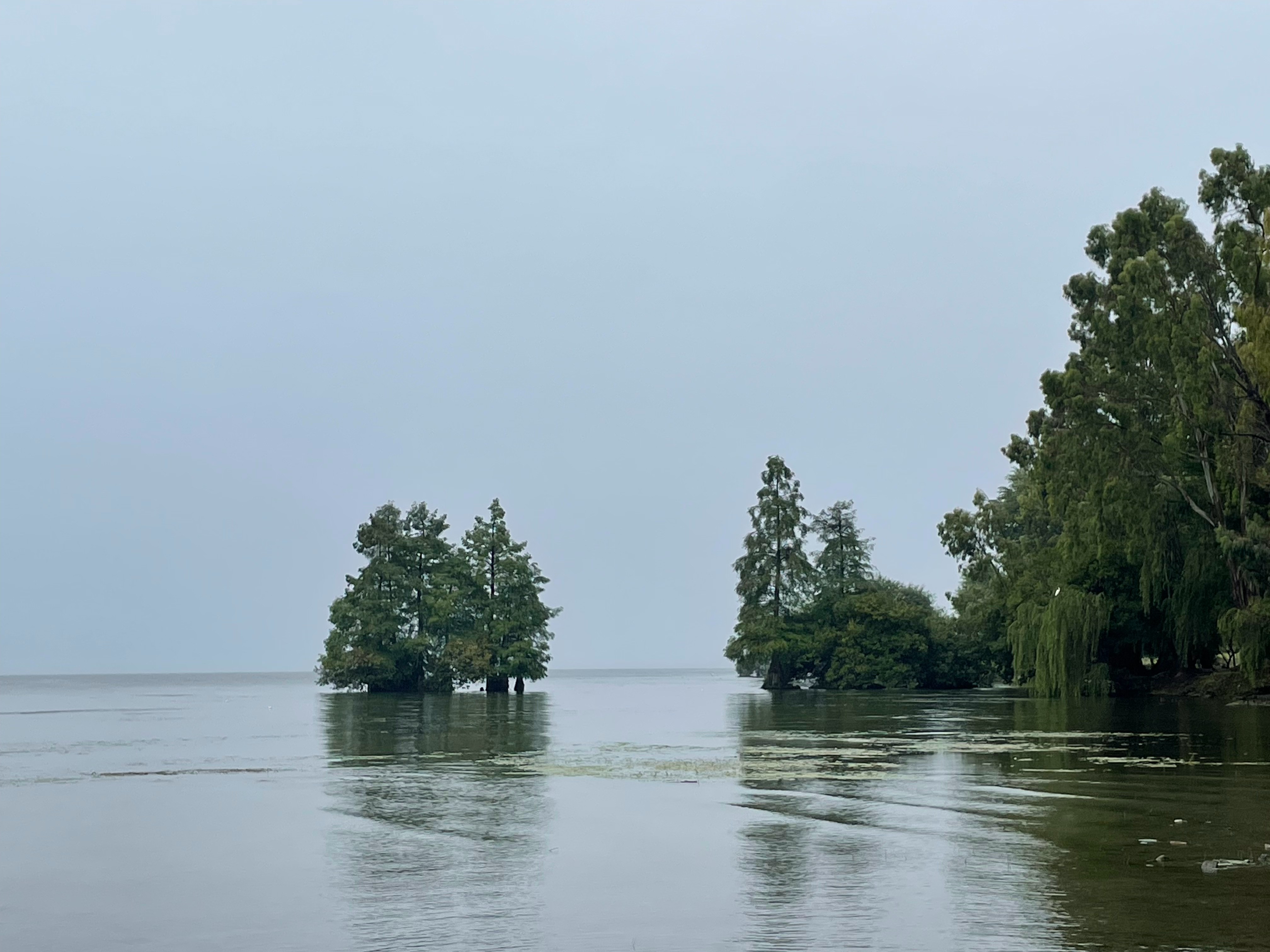 生活手记 雨中游洱海，每个时刻都有独特的美 