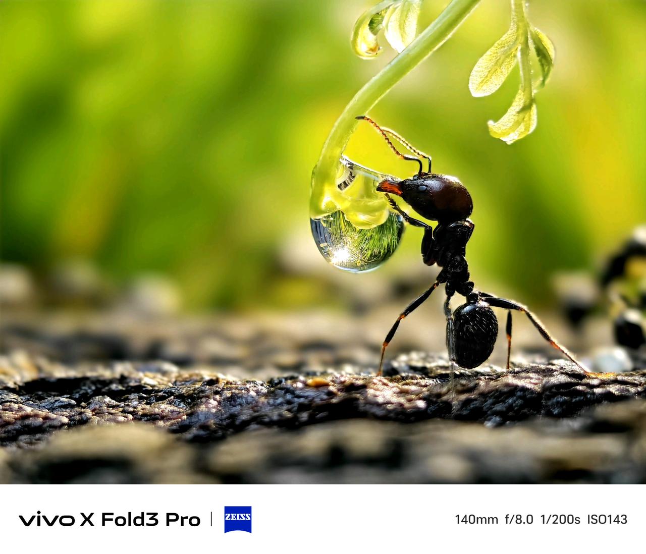 说一句它是地表最强折叠屏拍照，一点也不为过。在X100系列上深受喜爱的长焦悬日、