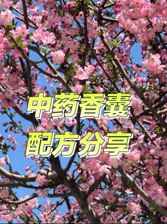 我想把祖国的传统文化做出人见人爱的样子