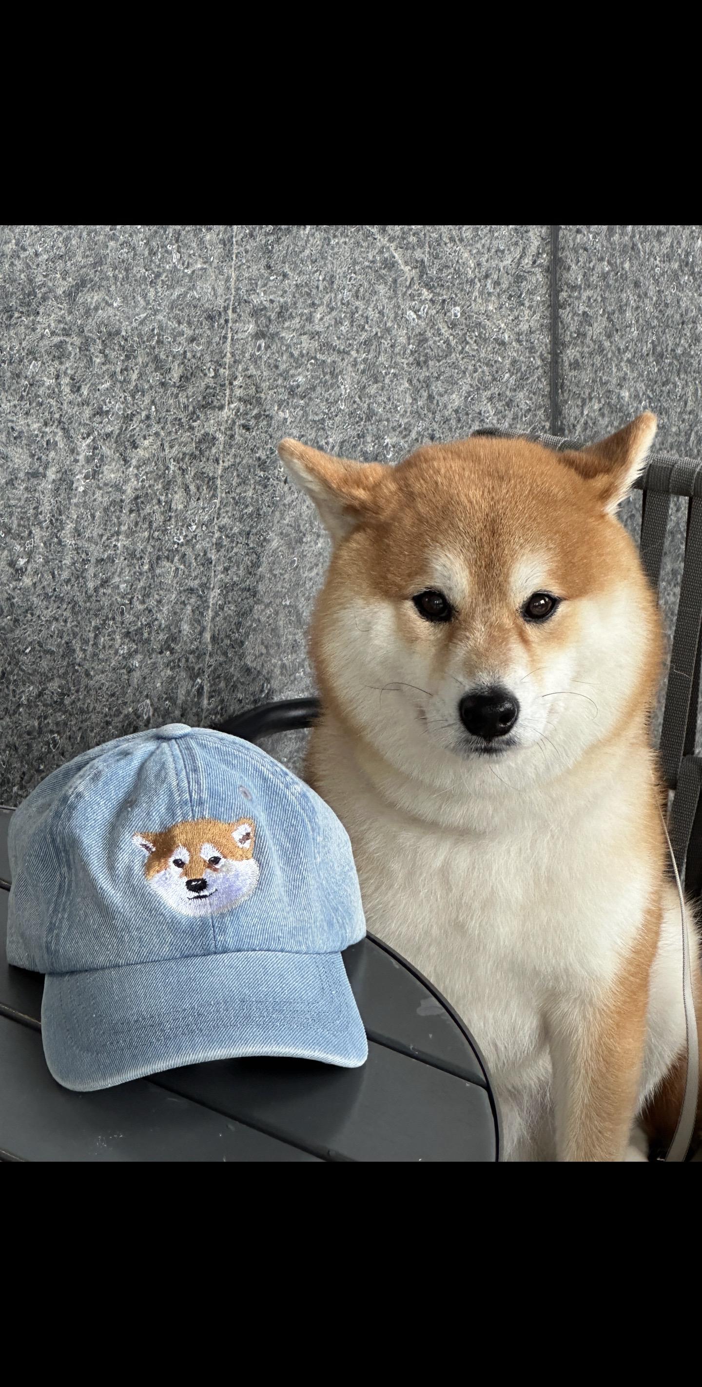 变帅成本就是一顶鸭舌帽🧢。