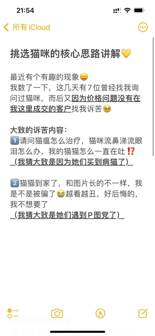 🇭🇰HK買貓💛挑選貓咪的核心思路