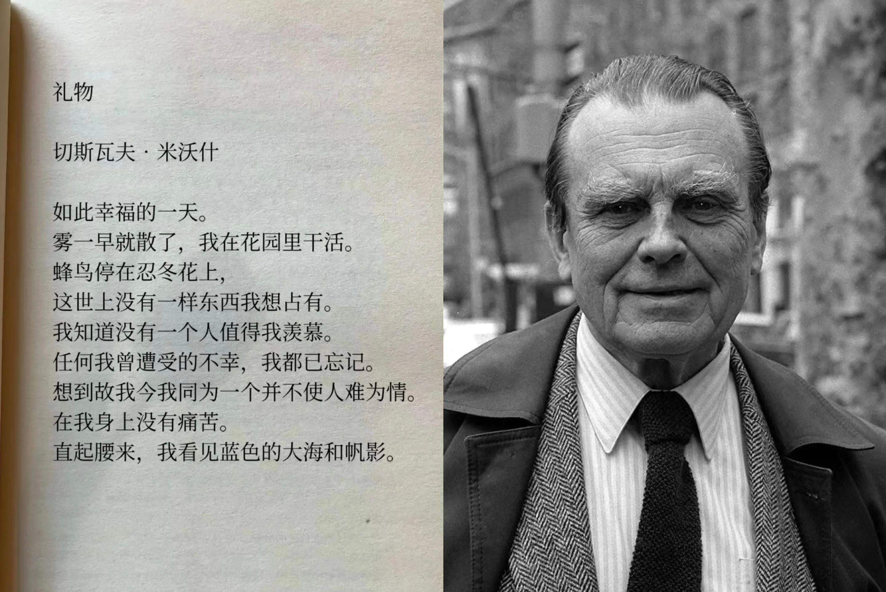 分享图片 ​​​