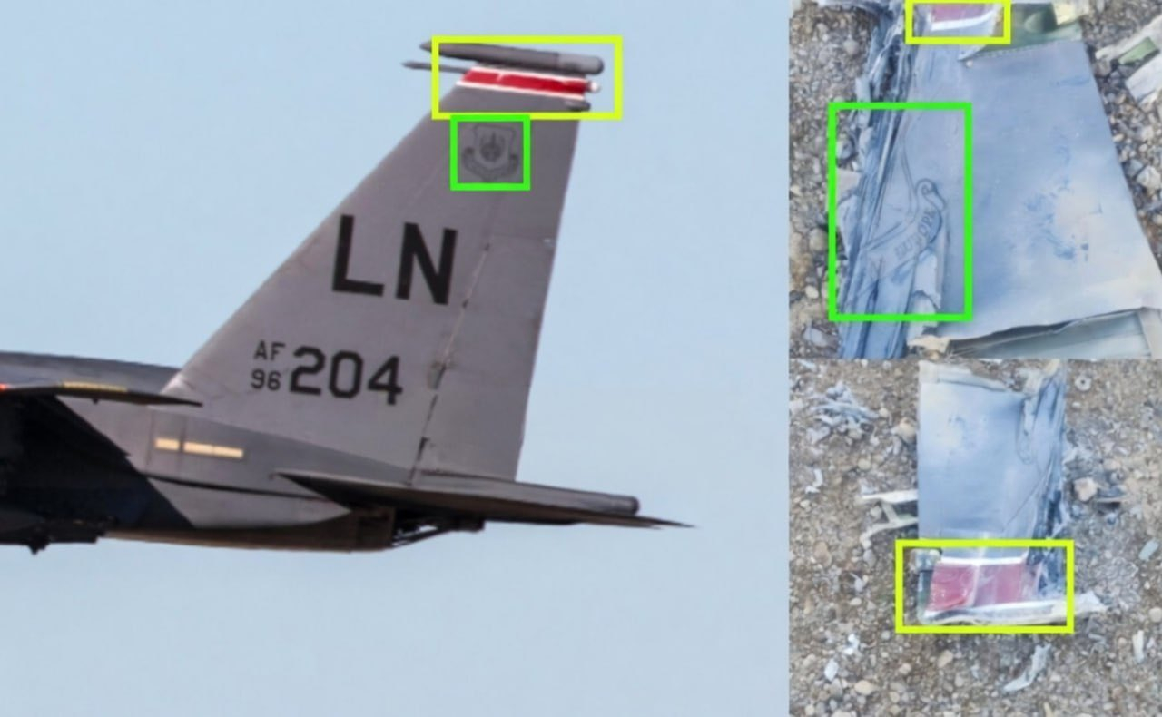 我屁股疼！屁股在树上，不疼了！ 