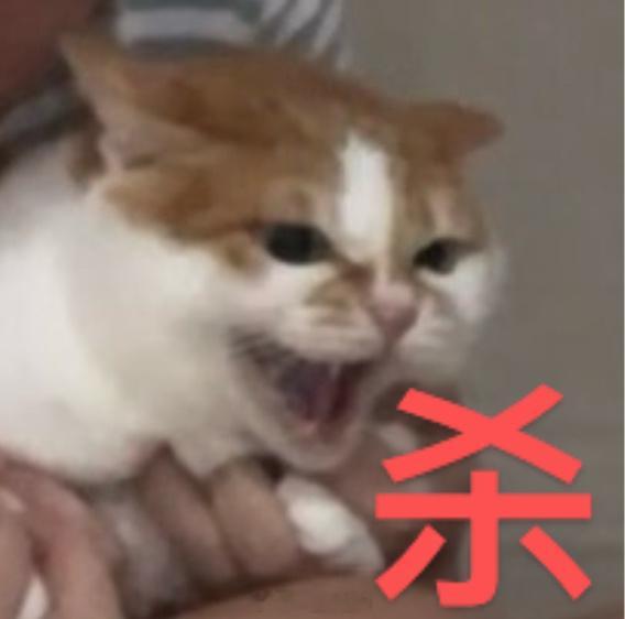 也没有人告诉我 右倒库跟左倒库不一样[老师爱你][老师爱你]好几个步骤给我干晕了