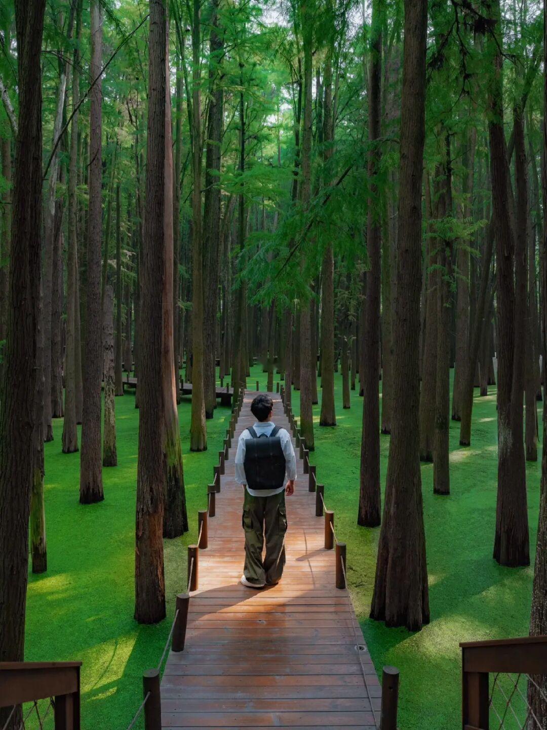 以为西湖够美了‼️直到我去了这个抹茶森林湖