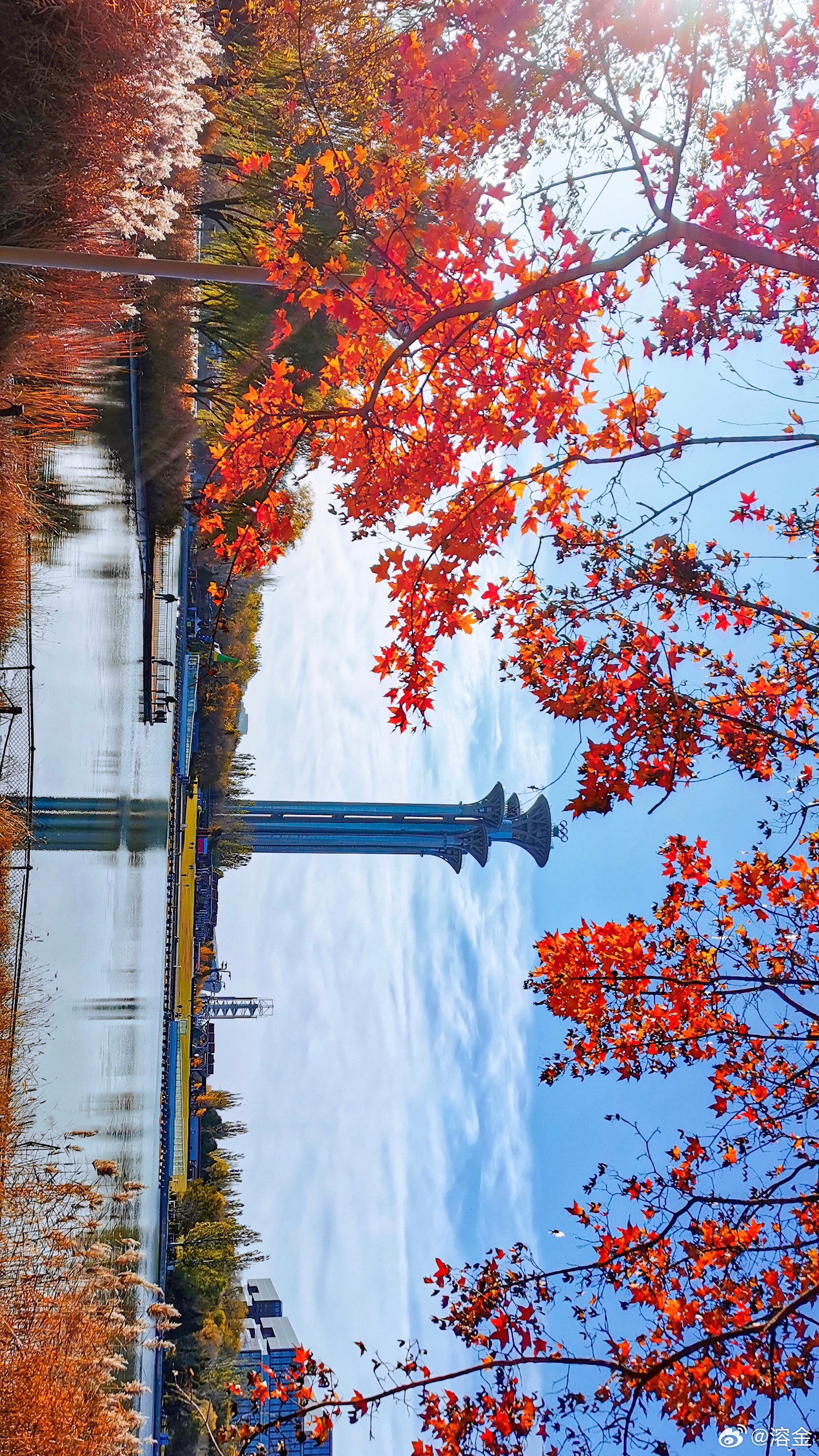 【奥林匹克森林公园】京城最是秋好处，橙黄橘绿满奥森一起欣赏北京初冬美景摄影​​​