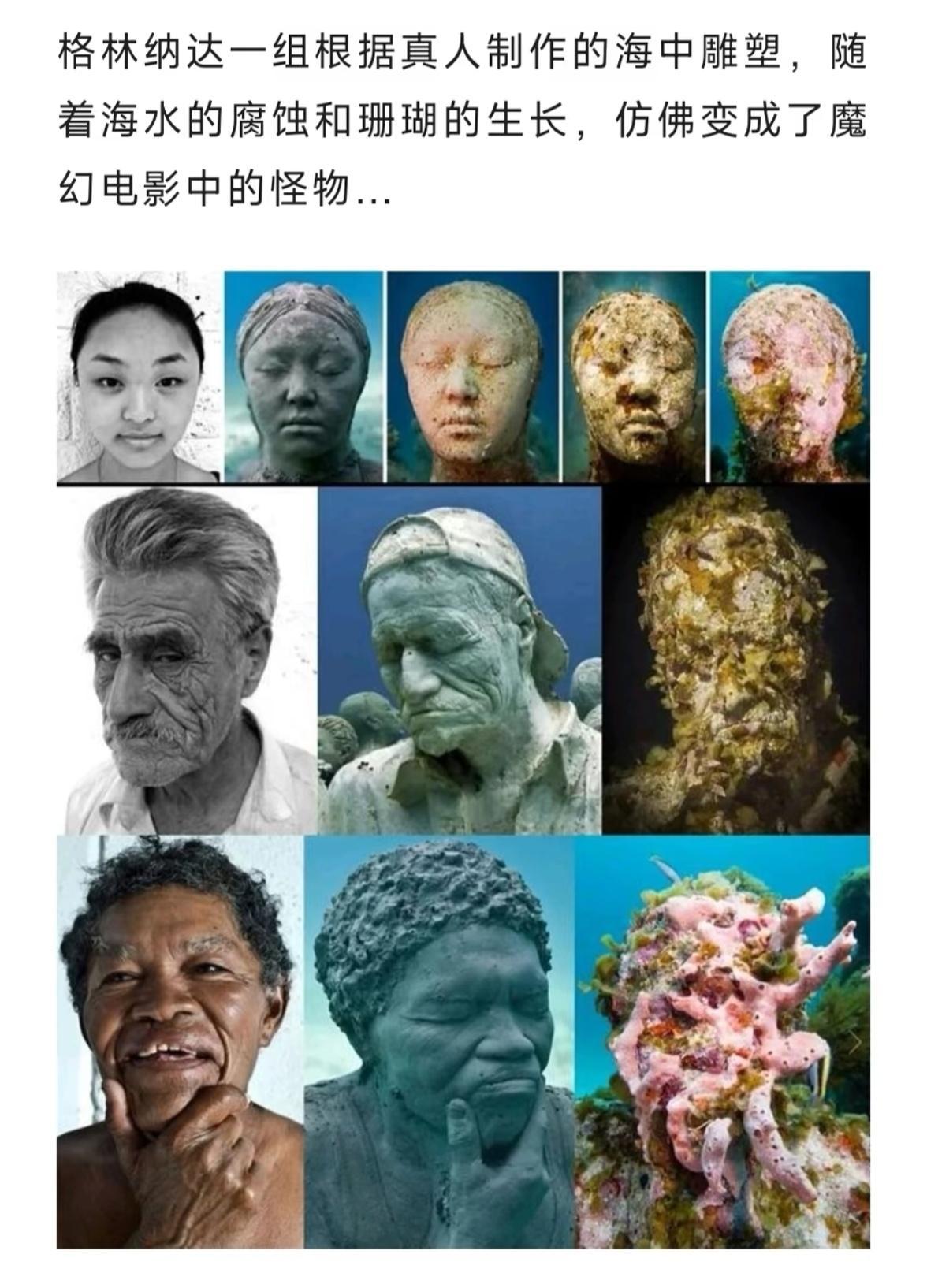 世界大战