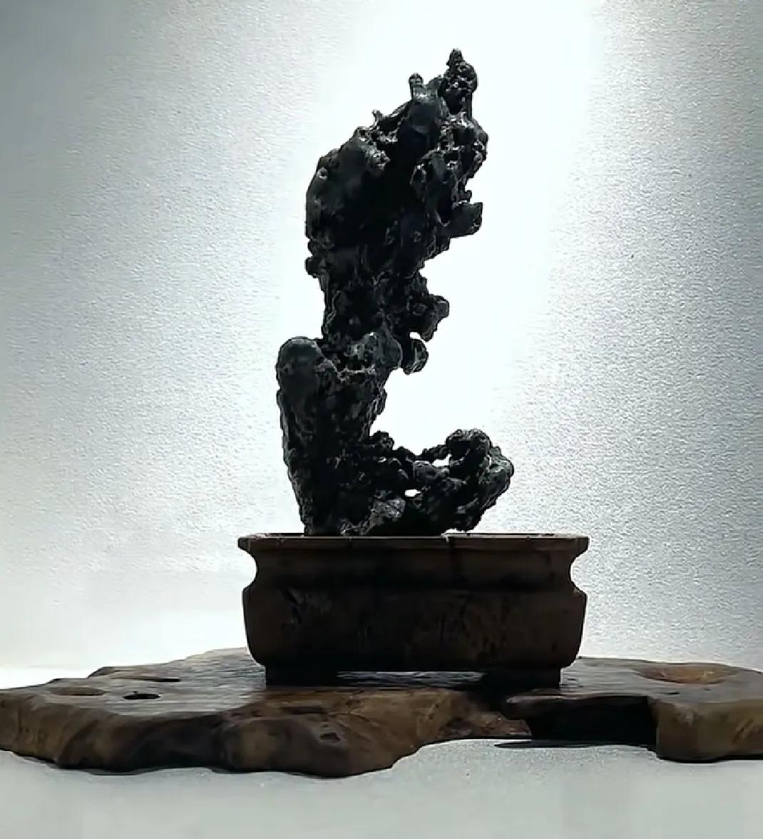 奇石欣赏（1）
给这奇石取个名字吧？