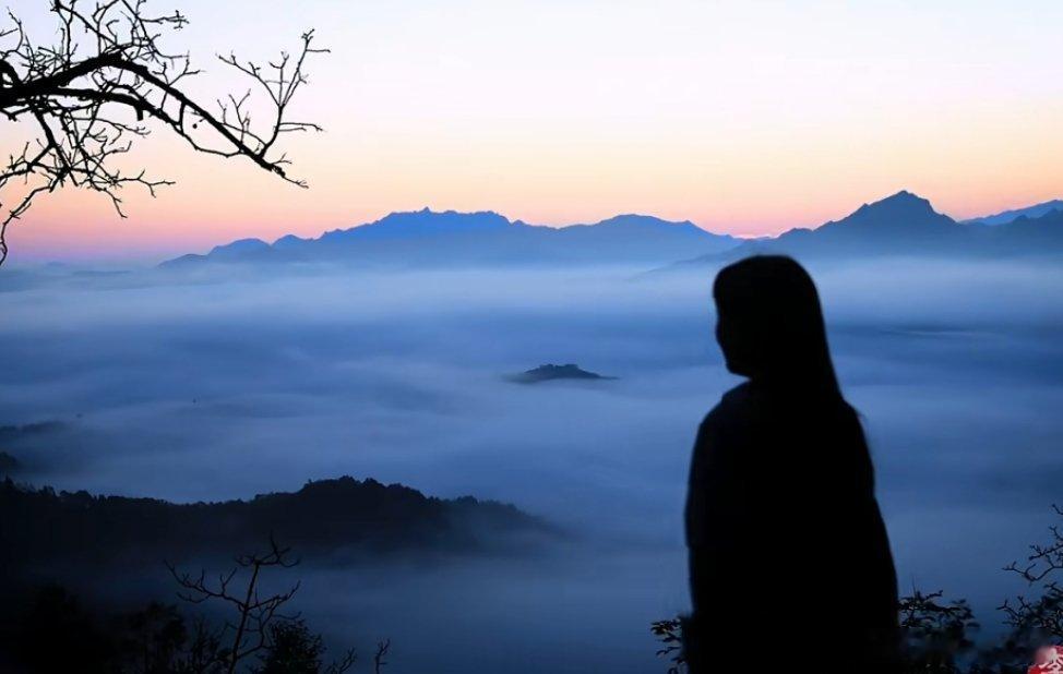 #李子柒回归#李子柒回归拍的这些视频好有治愈感，当静不下心来的时候，打开她拍的视