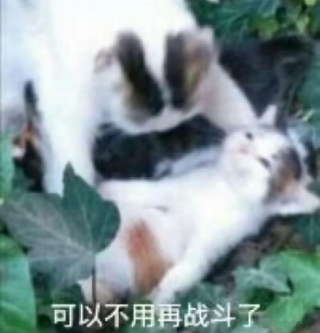 明天再那个孩子们，这个点刚到家不久，我已燃尽了…… 