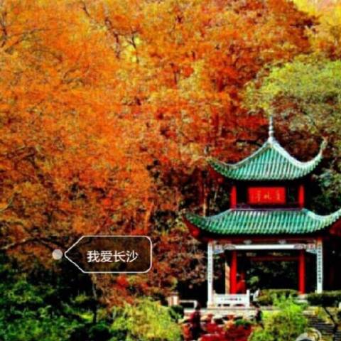 我爱长沙