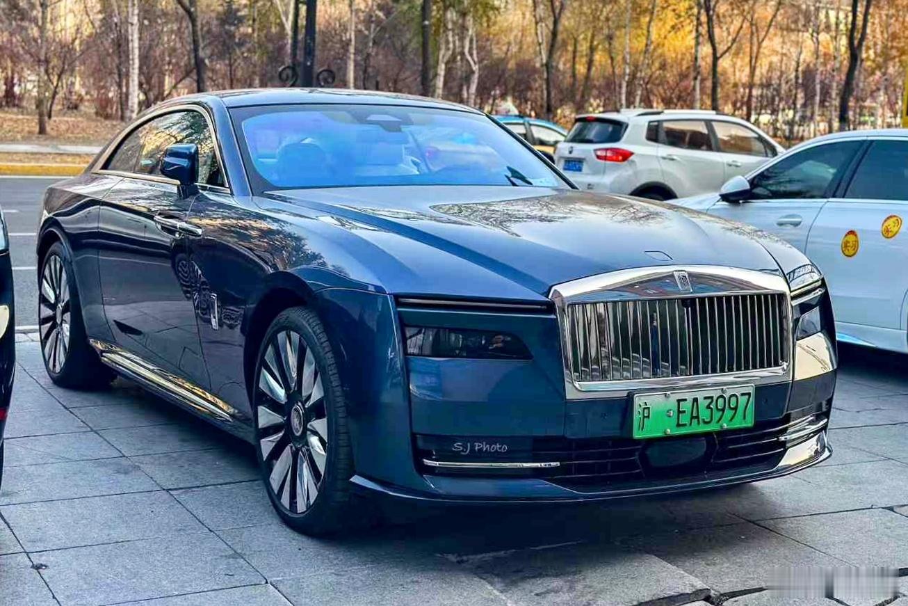 论车牌对颜值的影响。跟其它国家一比，新能源绿牌基本是买家秀与卖家秀差距，绝对的审
